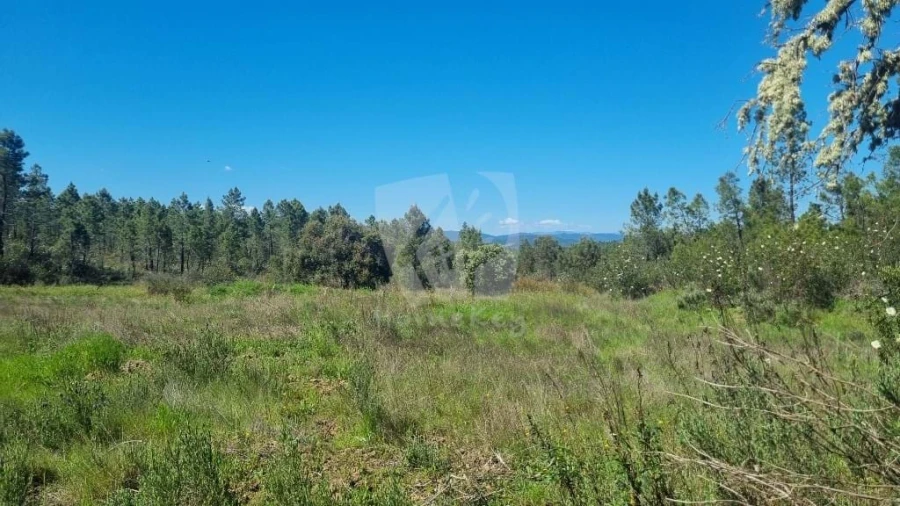 Terreno Agricola ou Rústico para Venda em Sarzedas Foto 23