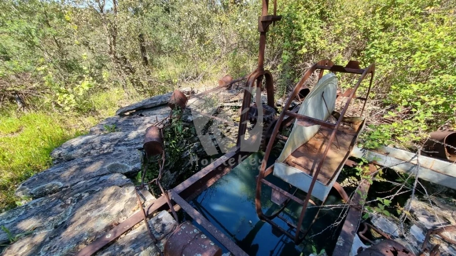 Terreno Agricola ou Rústico para Venda em Sarzedas Foto 9