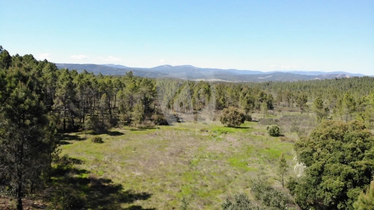 Terreno Agricola ou Rústico para Venda em Sarzedas Foto 1