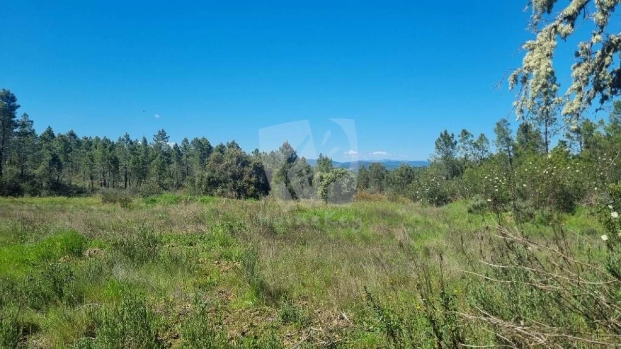 Terreno Agricola ou Rústico para Venda em Sarzedas Foto 23