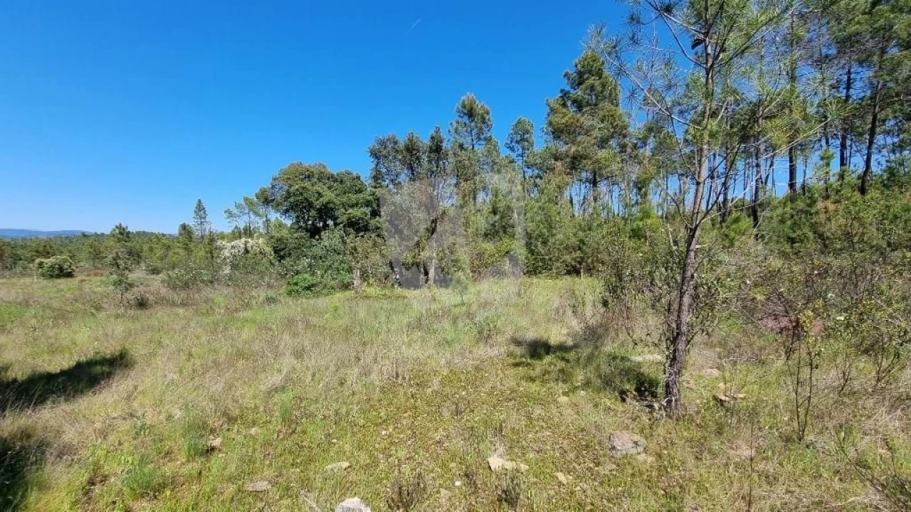 Terreno Agricola ou Rústico para Venda em Sarzedas Foto 7