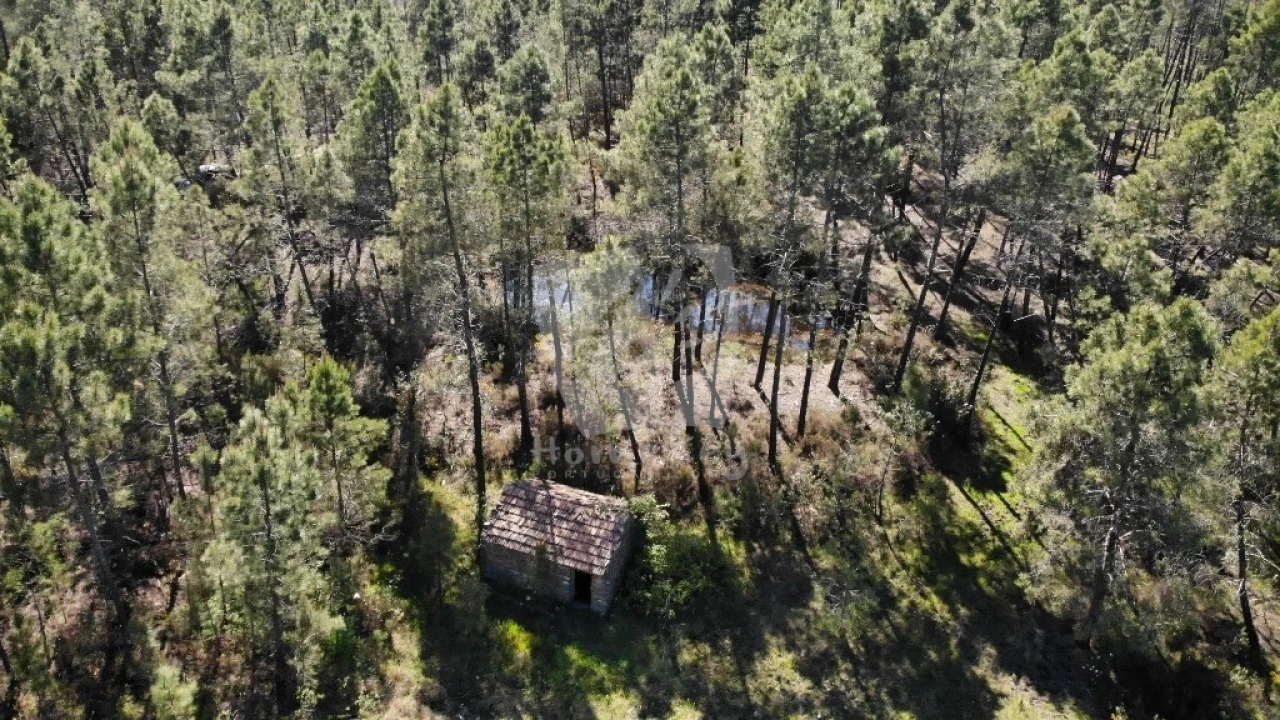 Terreno Agricola ou Rústico para Venda em Sarzedas Foto 27