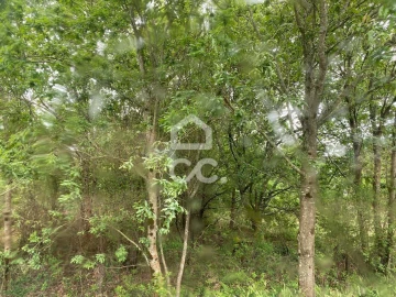 Terreno para Venda em Santa Maria Maior e Monserrate e Meadela