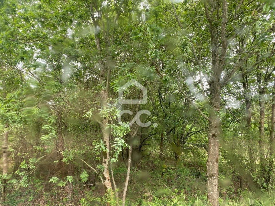 Terreno para Venda em Santa Maria Maior e Monserrate e Meadela Foto 1