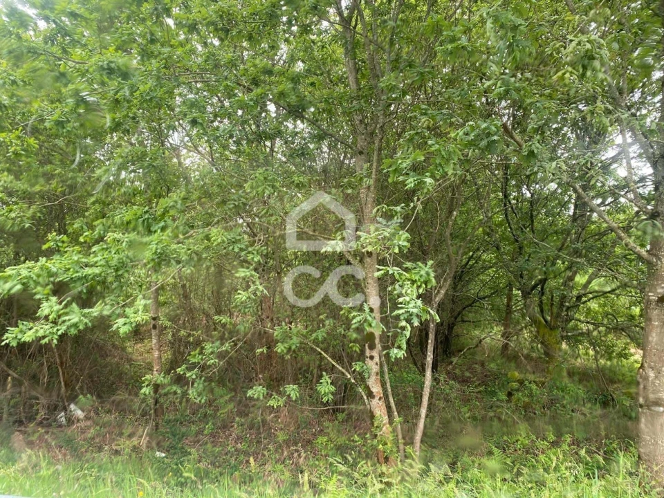 Terreno para Venda em Santa Maria Maior e Monserrate e Meadela Foto 2