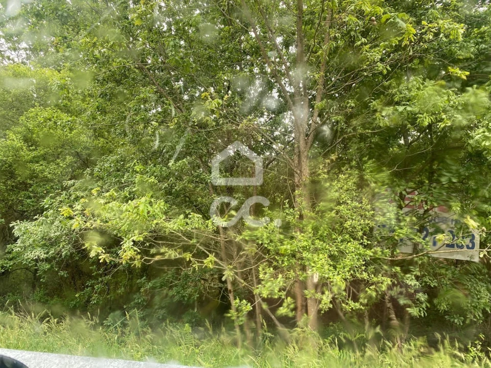 Terreno para Venda em Santa Maria Maior e Monserrate e Meadela Foto 3