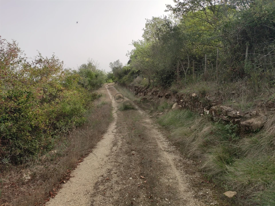 Terreno Agricola ou Rústico para Venda em Cardosas Foto 6