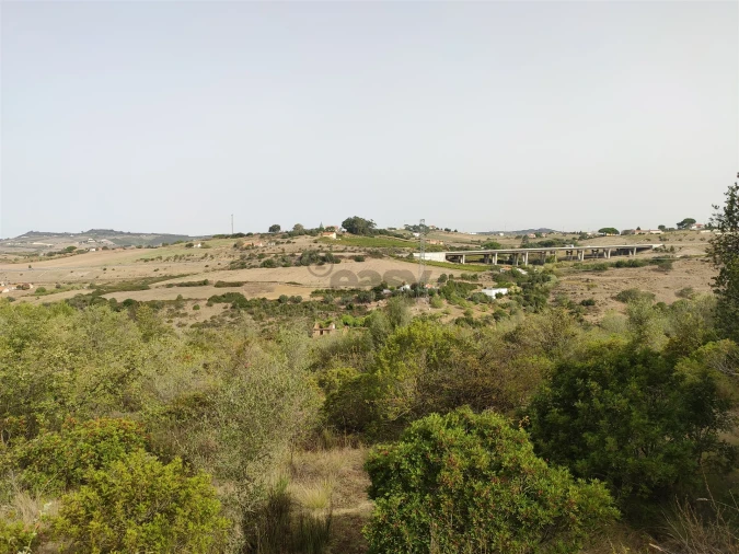 Terreno Agricola ou Rústico para Venda em Cardosas Foto 5