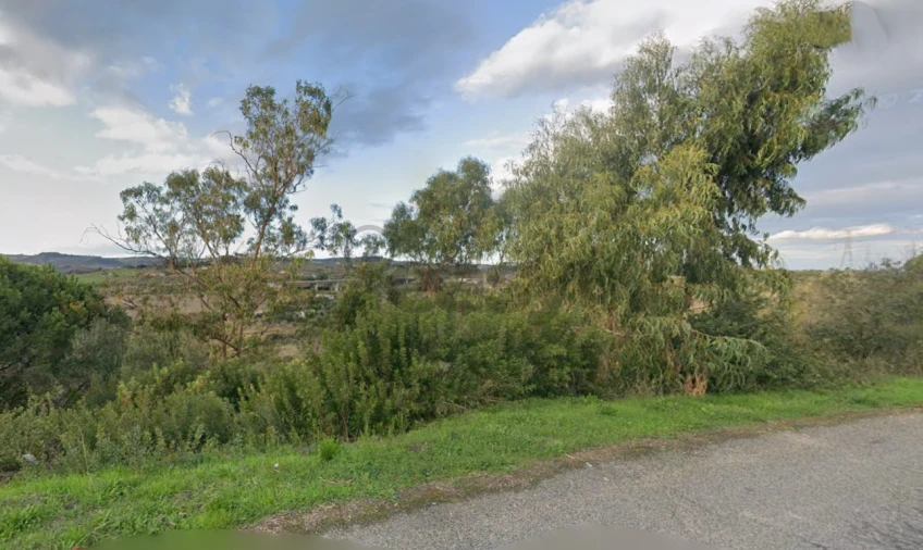 Terreno Agricola ou Rústico para Venda em Cardosas Foto 2