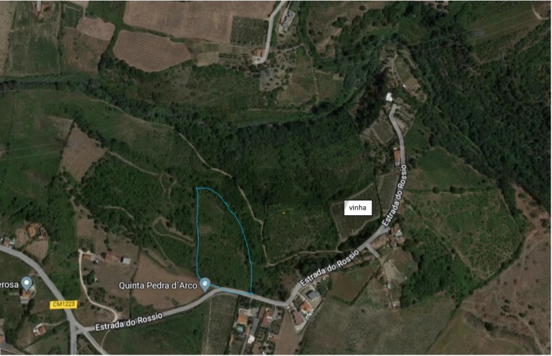 Terreno Agricola ou Rústico para Venda em Cardosas