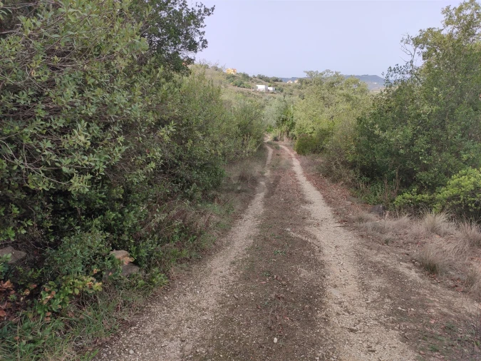 Terreno Agricola ou Rústico para Venda em Cardosas Foto 6