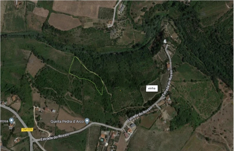 Terreno Agricola ou Rústico para Venda em Cardosas