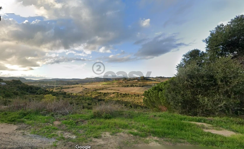 Terreno Agricola ou Rústico para Venda em Cardosas Foto 4