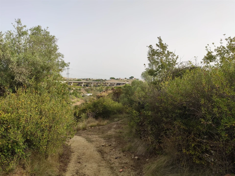 Terreno Agricola ou Rústico para Venda em Cardosas Foto 5