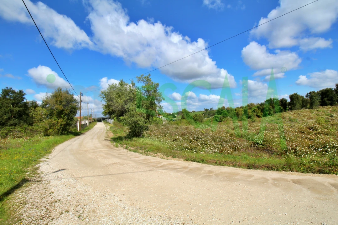 Terreno para Venda em Cartaxo e Vale da Pinta Foto 11