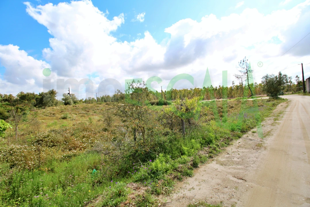 Terreno para Venda em Cartaxo e Vale da Pinta Foto 2