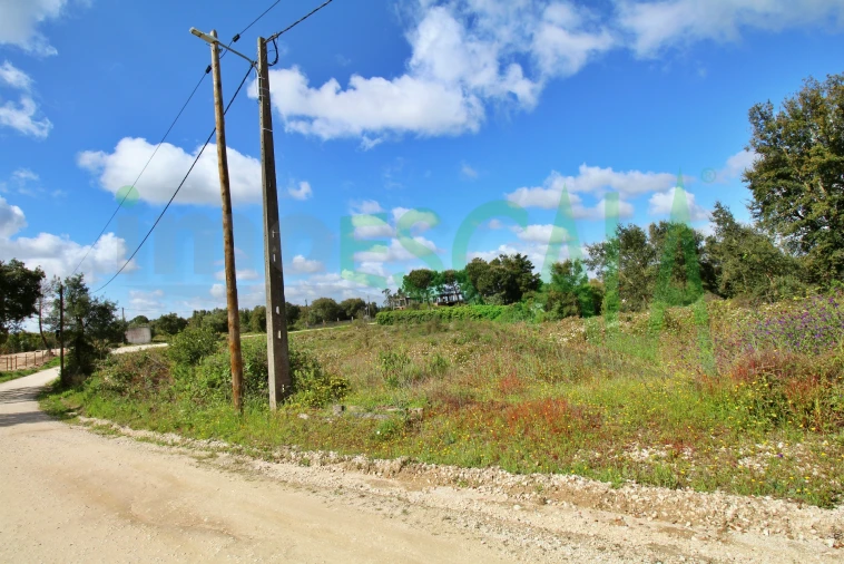 Terreno para Venda em Cartaxo e Vale da Pinta Foto 16