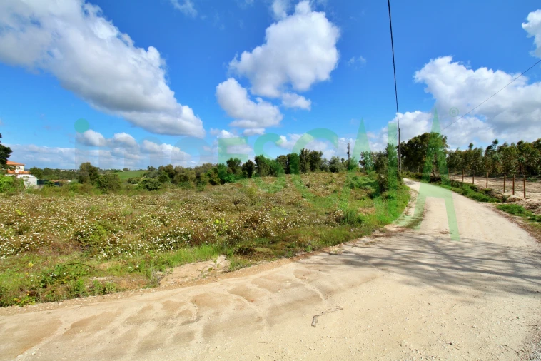 Terreno para Venda em Cartaxo e Vale da Pinta Foto 10