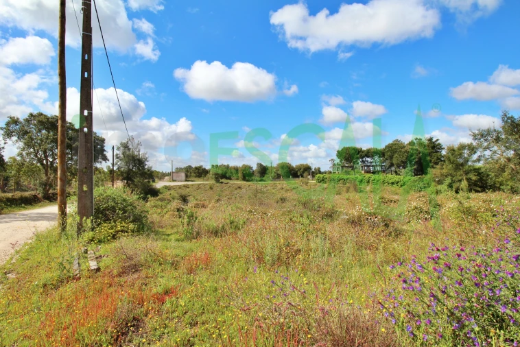 Terreno para Venda em Cartaxo e Vale da Pinta Foto 15