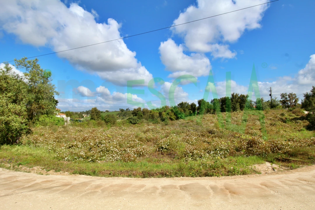 Terreno para Venda em Cartaxo e Vale da Pinta Foto 13
