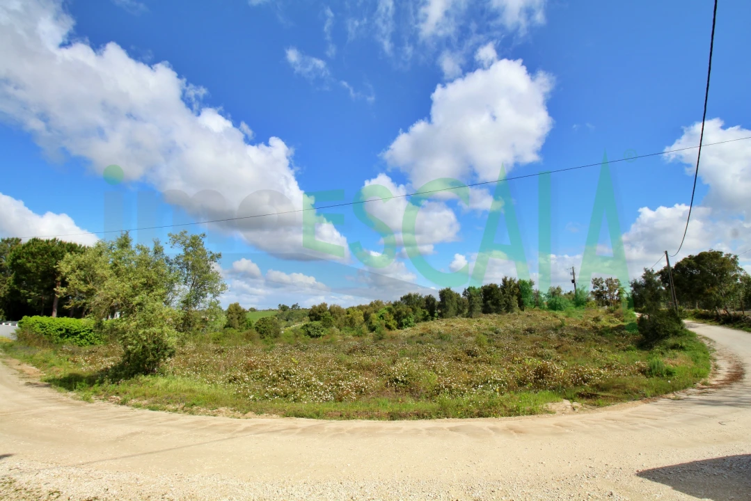 Terreno para Venda em Cartaxo e Vale da Pinta Foto 12