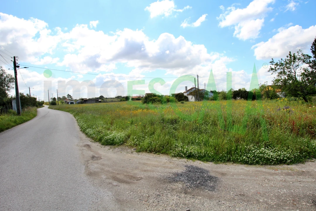 Terreno para Venda em Cartaxo e Vale da Pinta Foto 3