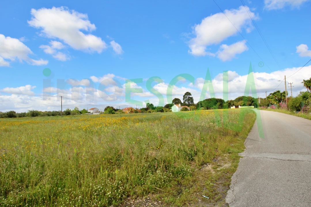 Terreno para Venda em Cartaxo e Vale da Pinta Foto 7