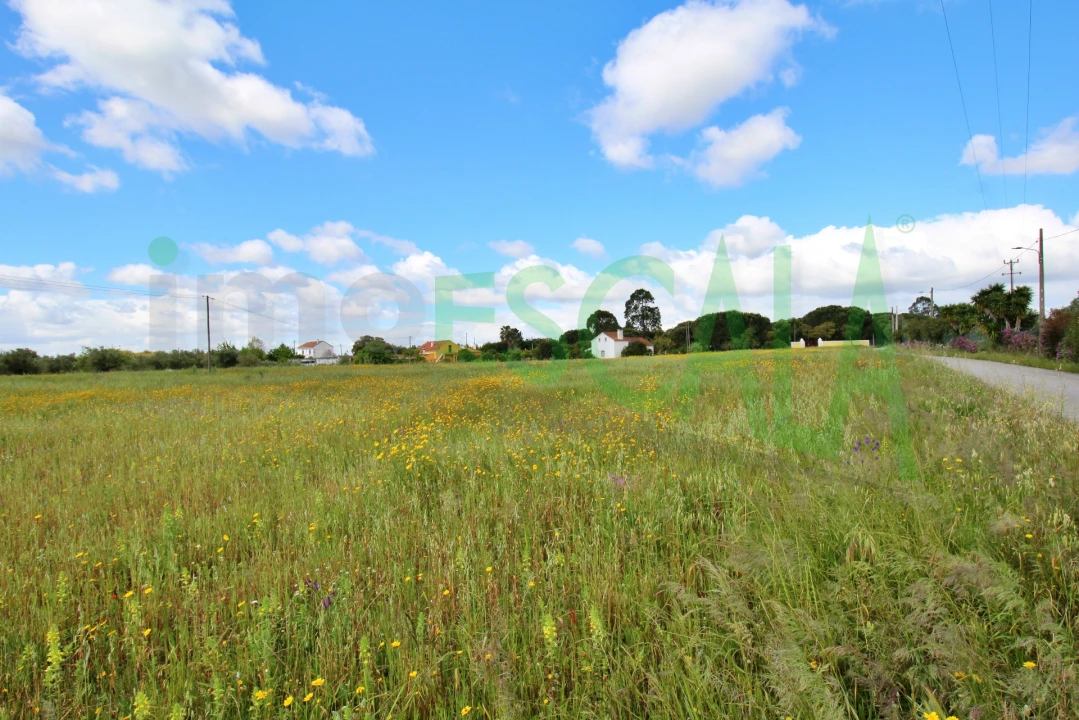 Terreno para Venda em Cartaxo e Vale da Pinta Foto 10