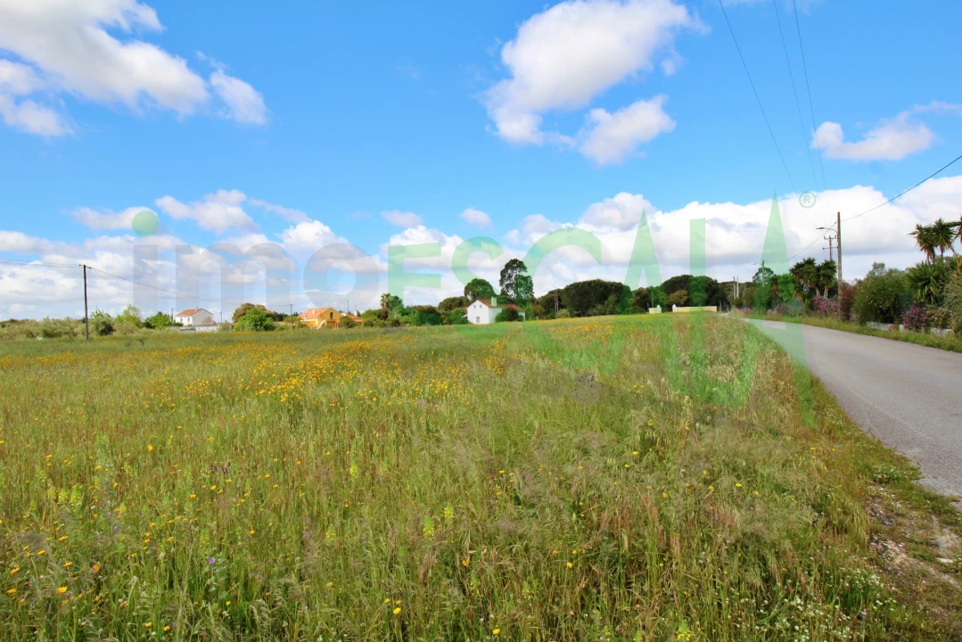 Terreno para Venda em Cartaxo e Vale da Pinta Foto 9
