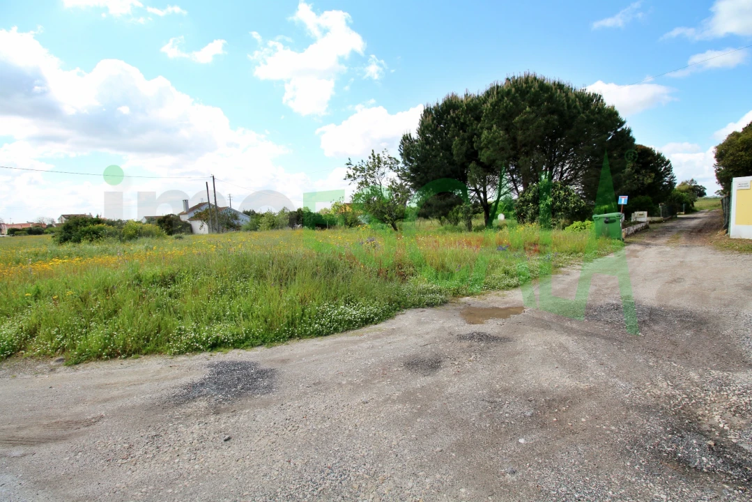 Terreno para Venda em Cartaxo e Vale da Pinta Foto 2