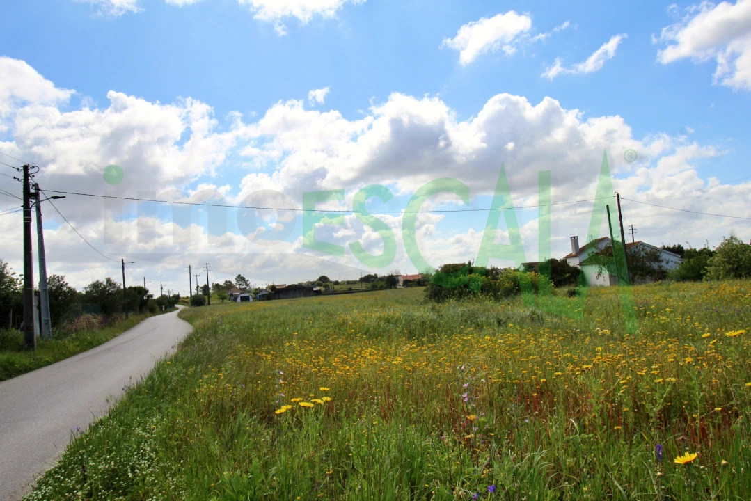Terreno para Venda em Cartaxo e Vale da Pinta Foto 5