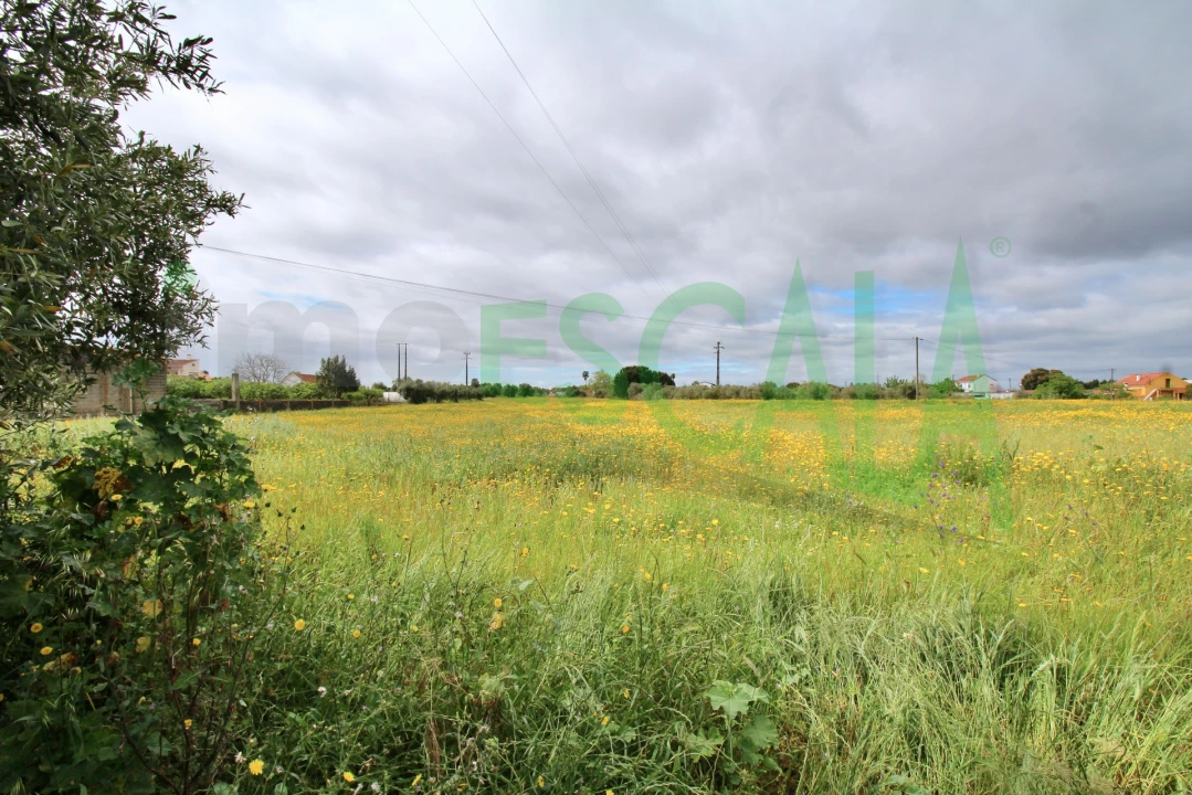 Terreno para Venda em Cartaxo e Vale da Pinta Foto 14
