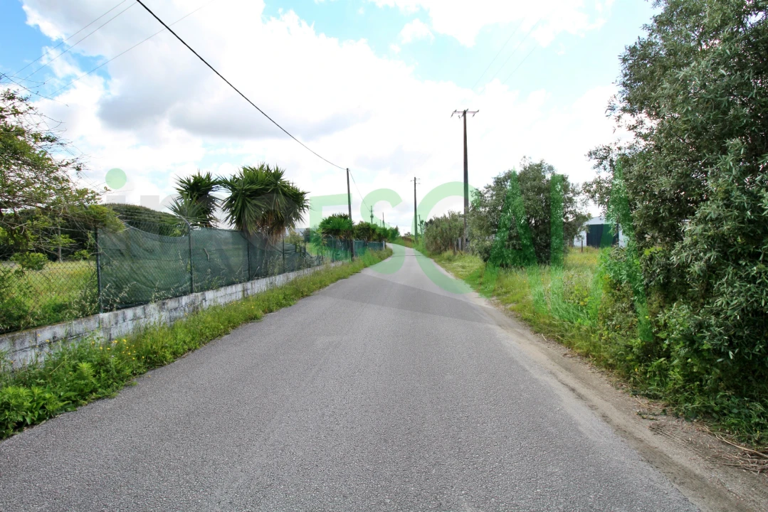 Terreno para Venda em Cartaxo e Vale da Pinta Foto 11