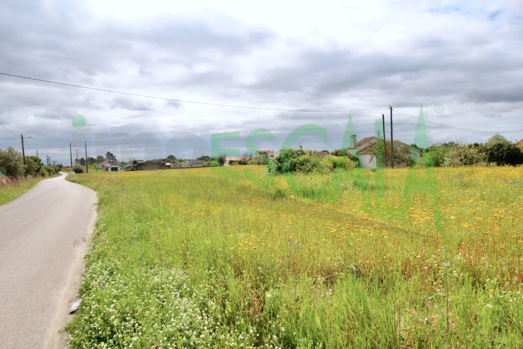Terreno para Venda em Cartaxo e Vale da Pinta Foto 19