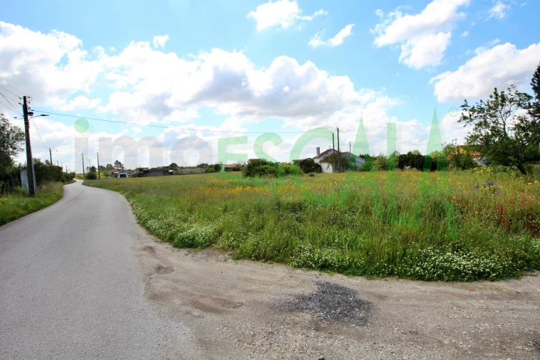 Terreno para Venda em Cartaxo e Vale da Pinta Foto 3