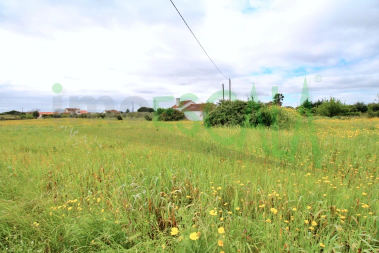 Terreno para Venda em Cartaxo e Vale da Pinta Foto 16