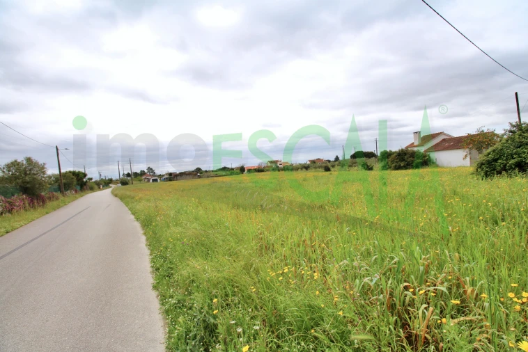 Terreno para Venda em Cartaxo e Vale da Pinta Foto 13