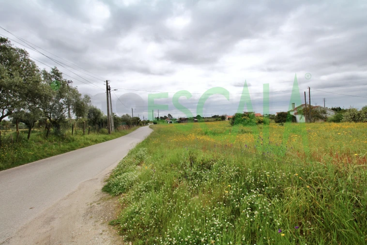 Terreno para Venda em Cartaxo e Vale da Pinta Foto 17