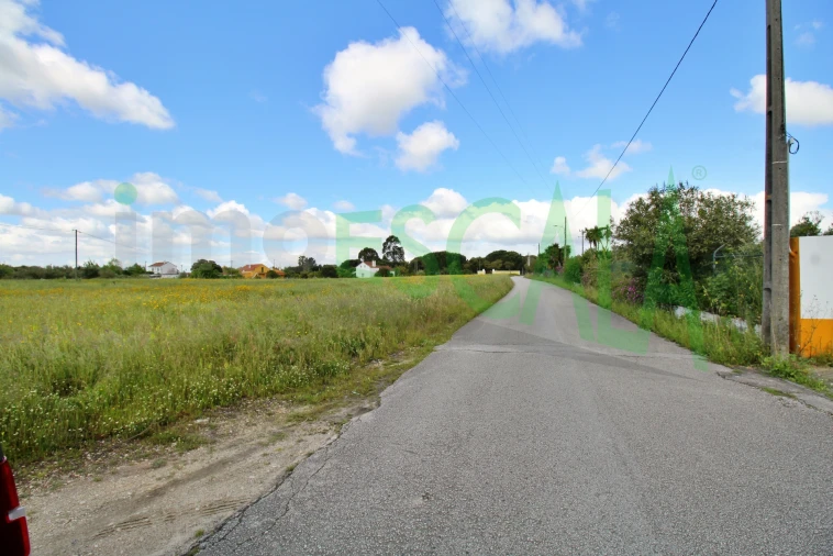 Terreno para Venda em Cartaxo e Vale da Pinta Foto 12