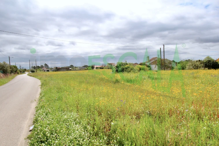 Terreno para Venda em Cartaxo e Vale da Pinta Foto 19