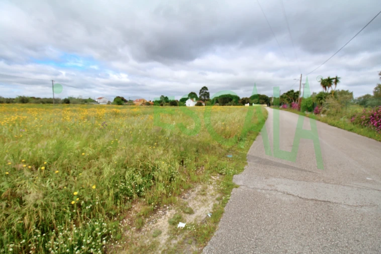 Terreno para Venda em Cartaxo e Vale da Pinta Foto 15
