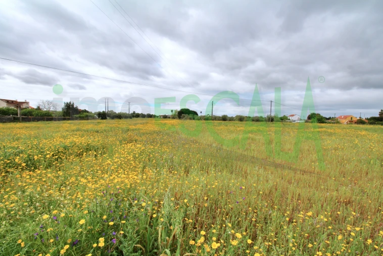 Terreno para Venda em Cartaxo e Vale da Pinta Foto 20