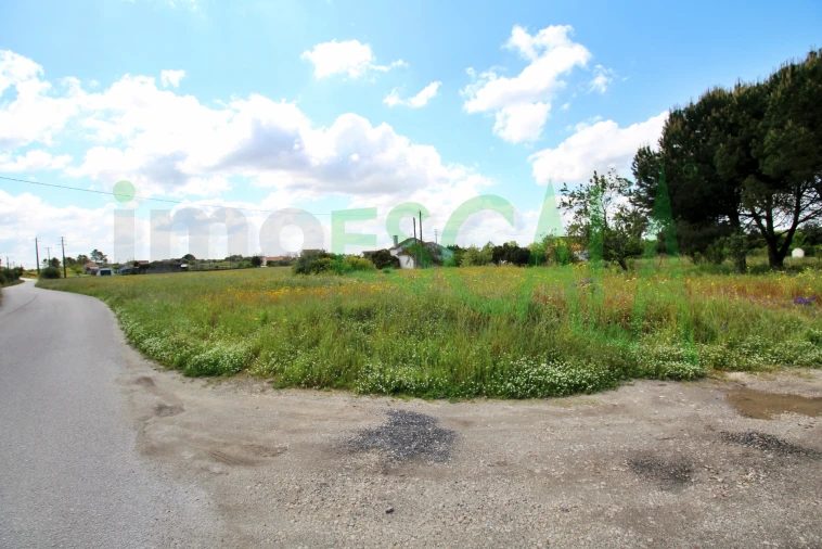Terreno para Venda em Cartaxo e Vale da Pinta Foto 4