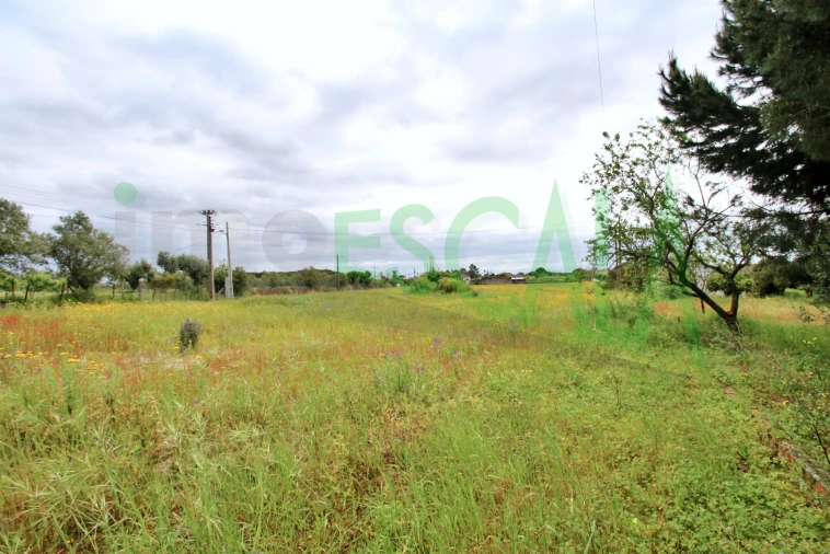 Terreno para Venda em Cartaxo e Vale da Pinta Foto 18