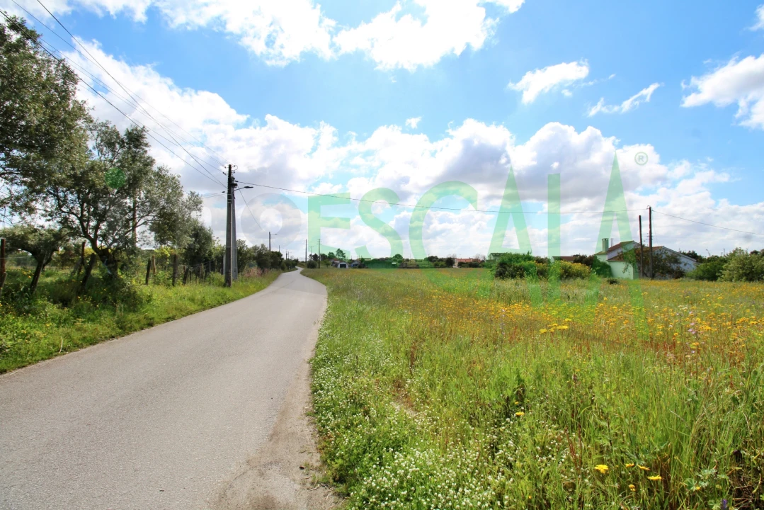 Terreno para Venda em Cartaxo e Vale da Pinta Foto 6