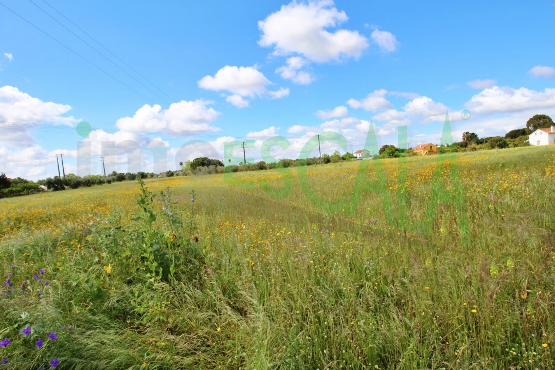 Terreno para Venda em Cartaxo e Vale da Pinta Foto 8