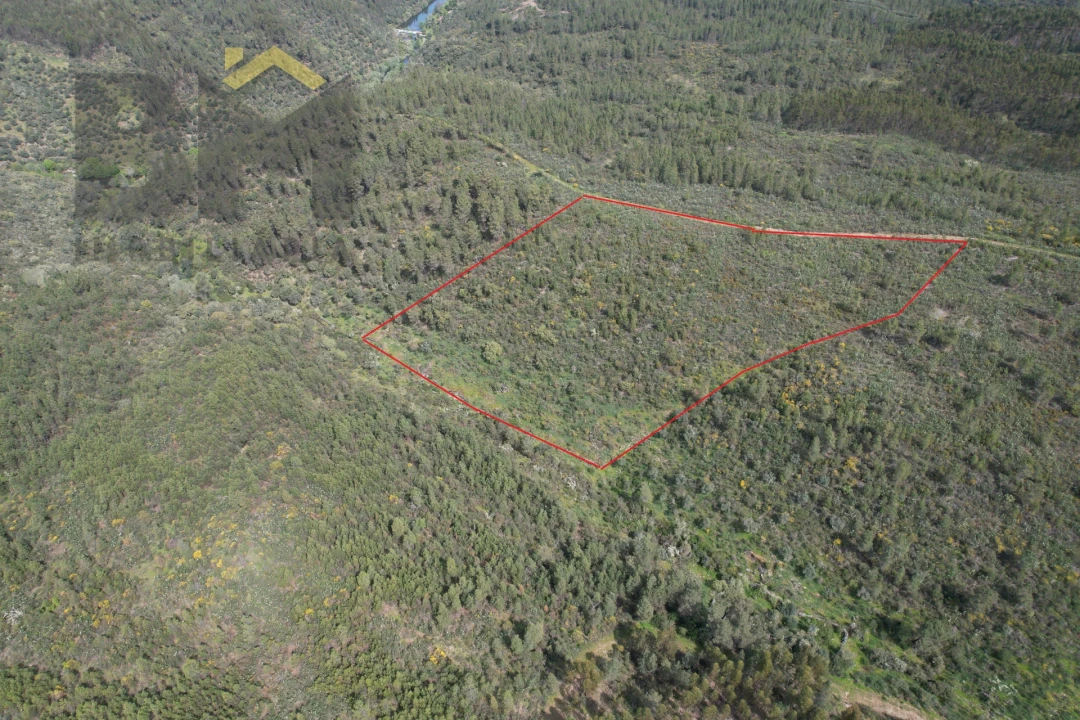 Terreno Agricola ou Rústico para Venda em Salgueiro do Campo Foto 1