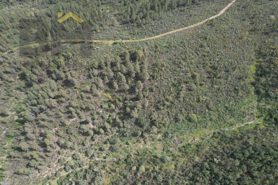 Terreno Agricola ou Rústico para Venda em Salgueiro do Campo Foto 4