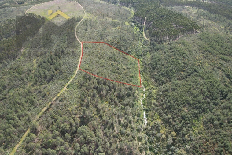 Terreno Agricola ou Rústico para Venda em Salgueiro do Campo Foto 2