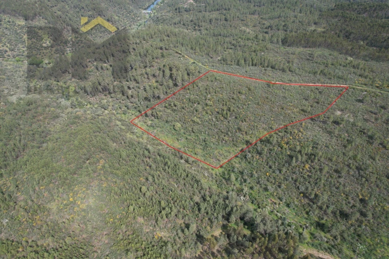 Terreno Agricola ou Rústico para Venda em Salgueiro do Campo